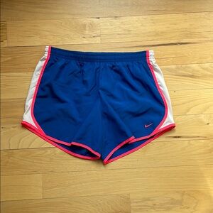 Nike Blue and Pink Track Shorts with Dolphin Hem